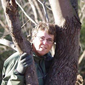 Meet your Posher, Gynet